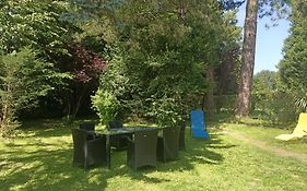 Villa 100 M Du Touquet Entre Foret Et Mer