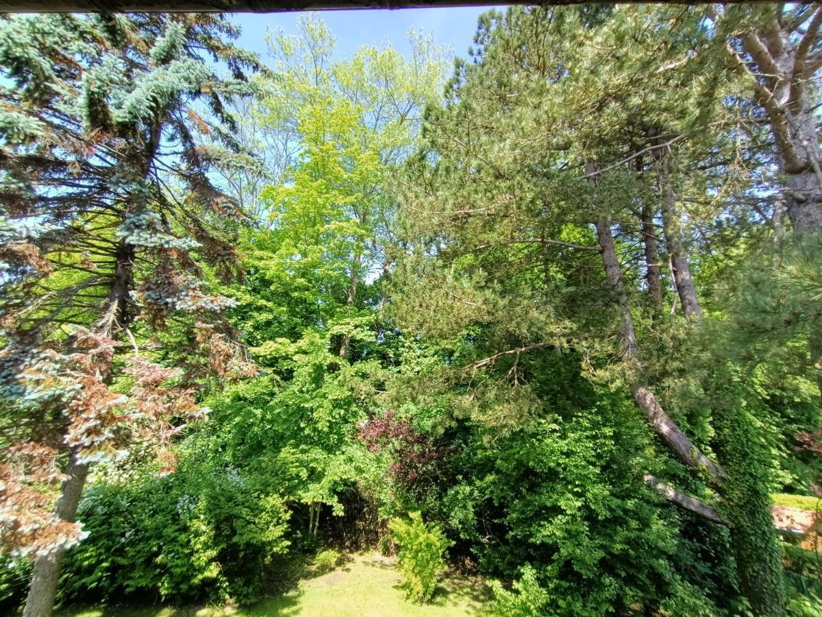 Villa 100 M Du Touquet Entre Foret Et Mer Cucq Extérieur photo